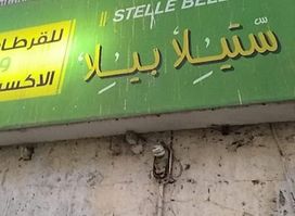 ستيلا بيلا