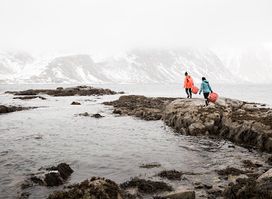 Lofoten Seaweed