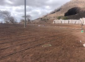 associaçao agro-colonato