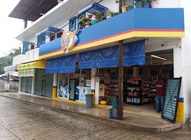 Vig's Puerto Central