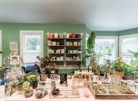 Plant Girl Shop