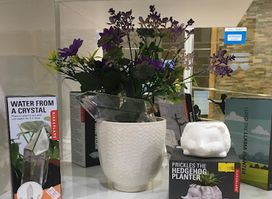 Portal Regalo | Tienda de regalos Valdivia | Regalos en Valdivia