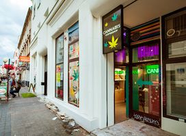 Mops Coffeeshop - Cannabis Store