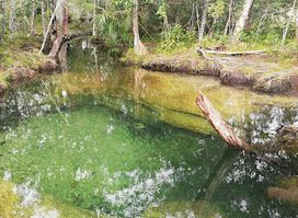 Caño Piedras