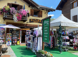 Alpina Shop S.R.L.