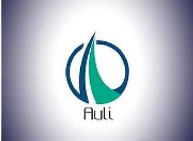Auli store