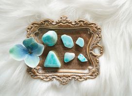 Mimosa Books & Gifts