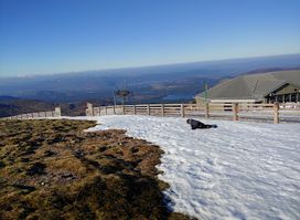 The Shop At The Top
