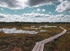 Soomaa National Park