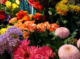 Bloom