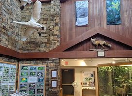 Giant City Visitor Center