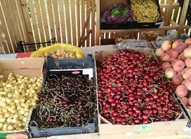 Fruit vegetables. ხილ ბოსტნეული.