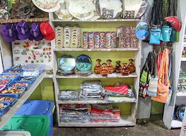 Camille's Souvenir Curio Shop