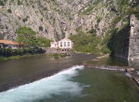 Kotor Cats Museum