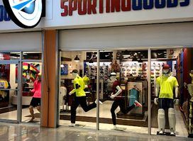 D Sporting Goods
