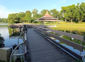 MacRitchie Reservoir Boardwalk