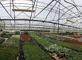 Garden Center AGROCOOP