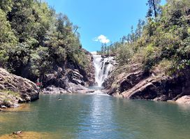 Mountain Pine Ridge Forest Reserve