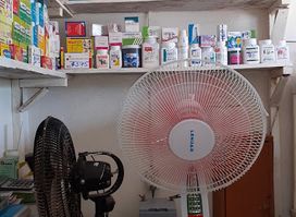 LMT Medicine Store
