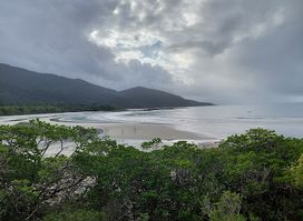 Cape Tribulation