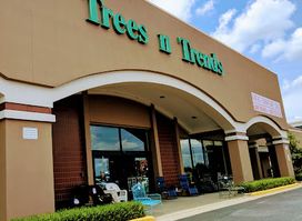 Trees n Trends - Cape Girardeau