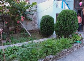My Home
