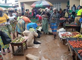 Pleebo General Market