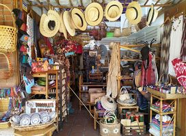 Artisan Market, contiguous to the Museum of Anthropology walking distance from airport