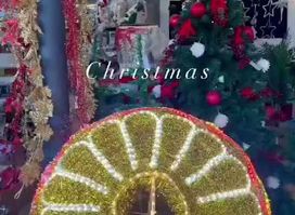 NaviFe (FE S.A.) Punta Shopping
