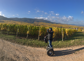Cattin - Great Wines & Crémant d'Alsace