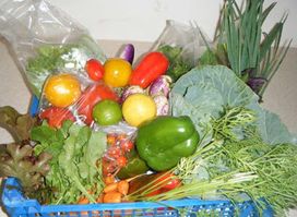 Rainbow Farms