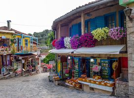 Souvenir Shop "Gavodolla"