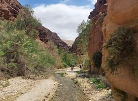 Wadi Al Karak