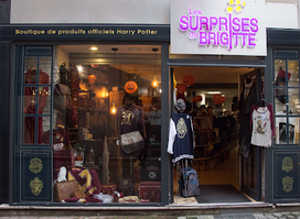 Boutique Harry Potter de Grenoble Les Surprises De Brigitte