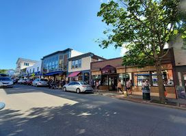 Willis' Rock Shop