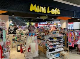 Mini Loft