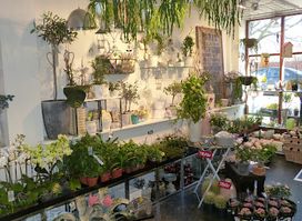 Shop Dot & Flower Corner Svendborg