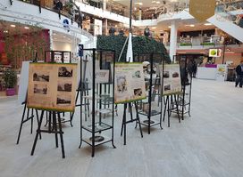 Mirage Shopping Center