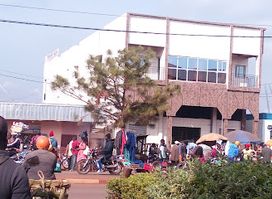 POISSONNERIE CONGELCAM, Mbouda
