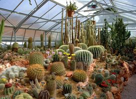 JURASSICA Jardin Botanique