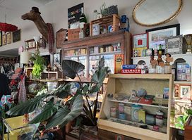 Wysteriasage & The Vintage Menagerie