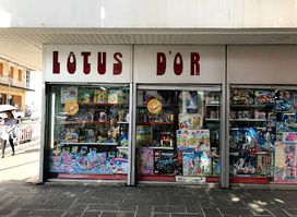 Lotus D'or & Co. Ltd.