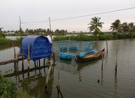 KADAMAKUDY BACKWATERS. & PUZHAYORAM FOOD COURT AND BOATING