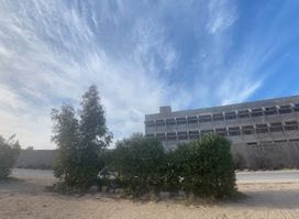 WaLeEd212