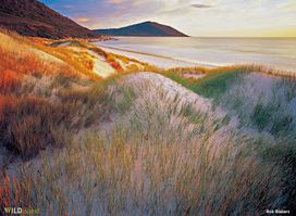 Wild Island Tasmania