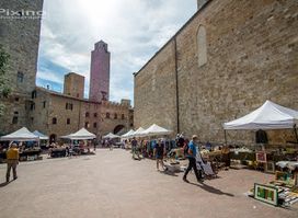 Fantasie Sotto Le Torri