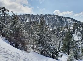 Troodos Mountains