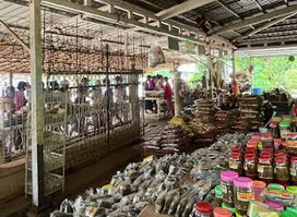 Aye Myint Kyaw (ပဲမျိုးစုံရောင်းဝယ်ရေး) ပင်ရင်းစက်ရုံ