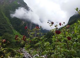 Valley of Flowers, 2 Km