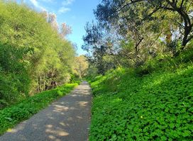 Athalassa National Forest Park